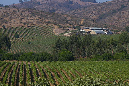Garces-Silva Winery, Chile