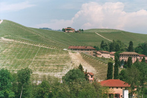 Barolo