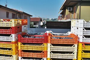 Amarone drying boxes