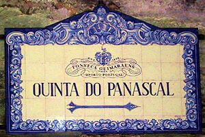 Quinta do Panascal