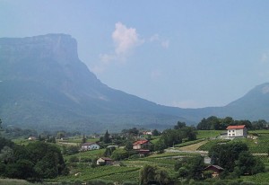 The towering cliffs of Mont Granier loom behind Labbés Abymes vineyards. Photo from Skurnik Wines.