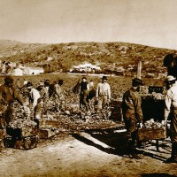 19th century photo of workers planting Zinfandel vines at Buena Vista. (Guild of Sommeliers.)