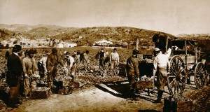 19th century photo of workers planting Zinfandel vines at Buena Vista. (Guild of Sommeliers.)