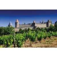 Image of Carcassone vineyards and the walled city from FranceToday.com