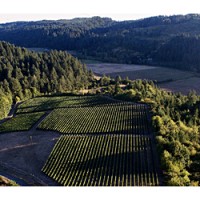 Oregon's scenic Willamette Valley viewed from above Ken Wright Winery's vineyards.
