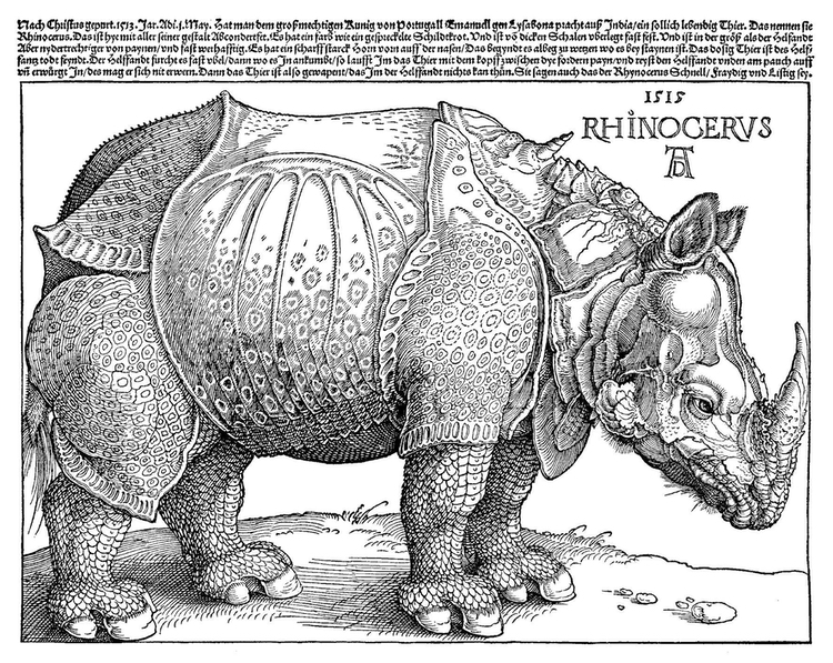 Why does La Spinetta use the artist Albrecht Durer's 1515 rhinoceros woodcut on their wine labels? Click the label image for the producer's explanation.