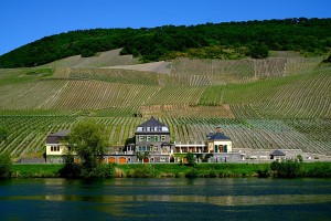 Dr. Loosen's beautiful winery is on the bank of the Mosel, with his hillside vineyards rising above.