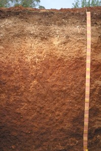 Loam over red clay, "Urrbrae Loam" (26% of the McLaren Vale Wine Region), image from DJS Growers Services in Adelaide, Australia.