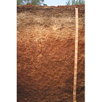 Loam over red clay, "Urrbrae Loam" (26% of the McLaren Vale Wine Region), image from DJS Growers Services in Adelaide, Australia.
