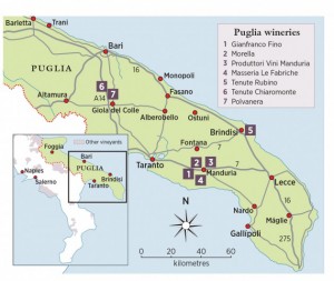 Map of the Puglia wine region from Decanter magazine's Travel Guide to Puglia