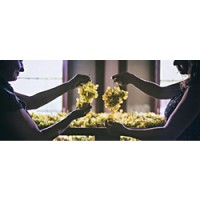 Image from the Soave Consorzio trade association, https://ilsoave.com/en/
