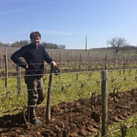 Xavier Weisskopf. founder and wine maker at Le Rocher des Violettes, surveys his tiny plot of pre-World War II Chenin blanc vines in Montlouis-sur-Loire.