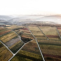 Wagner-Stempel's vineyards seen from above on a cloudy winter day in Rheinhessen.