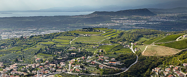 A beautiful panorama of Allegrini's Valpoliccella vineyards, with the Lessini mountains and Lake Garda in the distance. (<a href="https://website.allegrini.it/en/valpolicella_territorio.php" target="_new">Photo from the Allegrini website.</a>)