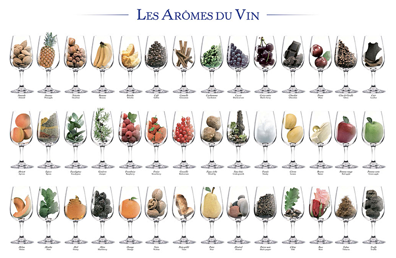 A detail from Les Arômes du Vin, a beautiful Aromas of Wine poster from Bouchard Pêre et Fils.