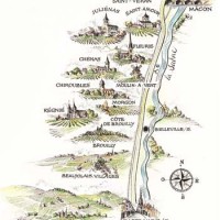 The 10 Crus of Beaujolais.