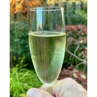 Why, yes, we did enjoy a glass of Spanish Cava with our neighbors.