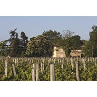 Vineyards at Château German Castillon Côtes de Bordeaux