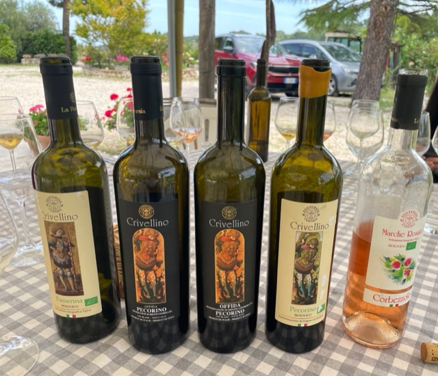 row of bottles of wine