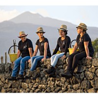 WIth Mount Etna looming in the background, Cottanera's wlrkers take a break from hand-picking Nerello Mascalese grapes at harvest time.