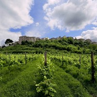 Feudi San Gregorio's vineyards are in Irpinia in the Campanian Appenines.