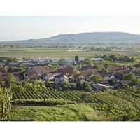 Erich and Maria Berger's winery in the village of Gedersdorf in Lower Austria.