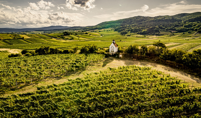 A tiny church, rolling hills and Niederösterreich vineyards. Photo from AustrianWine.com, website of the Austrian Wine Marketing Board.