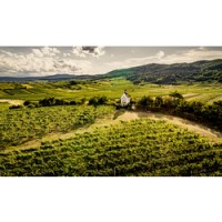 A tiny church, rolling hills and Niederösterreich vineyards. Photo from AustrianWine.com, website of the Austrian Wine Marketing Board.