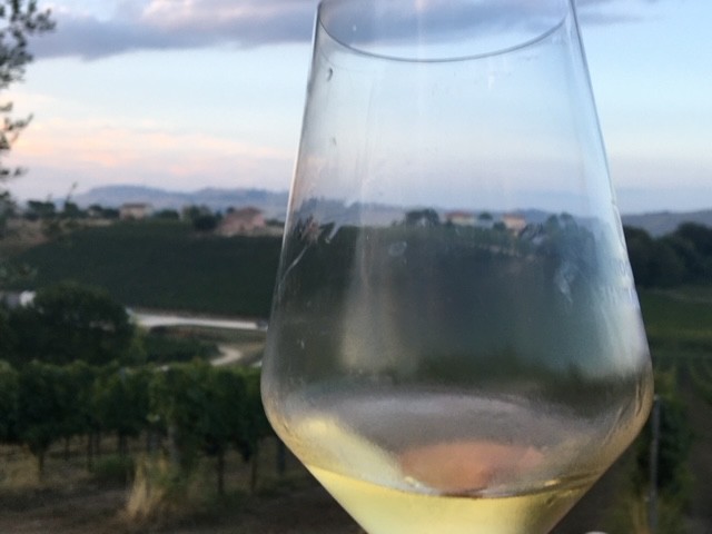 Looking over one of Santa Liberata's vineyards through a glass of Pecorino. PHOTO: TERRY DUARTE.