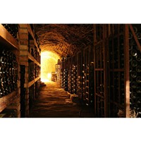 This is a classic old wine cellar, but don't worry: You don't need all this!