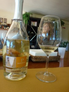 Velenosi's Angeolina Velenosi looks through a glass of Passerino.PHOTO: TERRY DUARTE