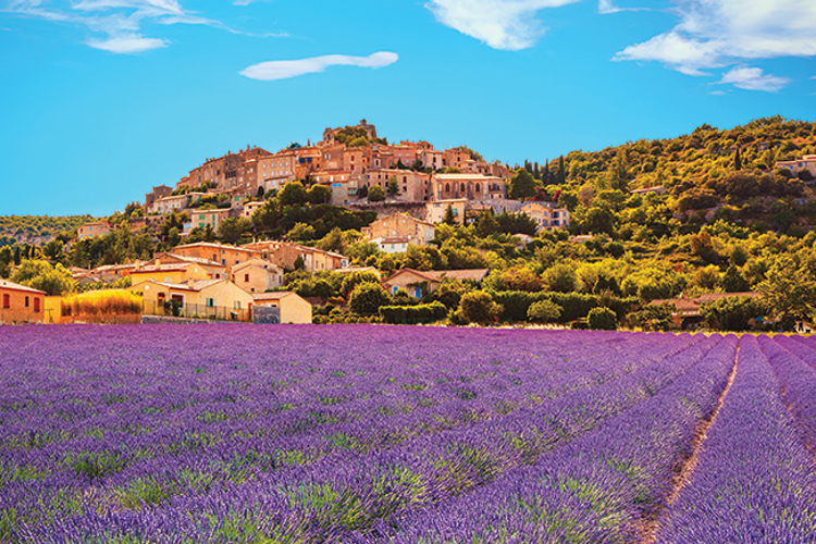 Provence is known for its rosé wines, its fields of lavender, and of course its food and wine. Image from <a href="https://francetoday.com/travel/travel-features/purple-reign-provence/" target="_new">Purple Reign: Lavender and Provence</a> in FranceToday.com.