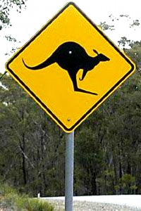 You know you're in Australia when you see a kangaroo crossing sign along the road.