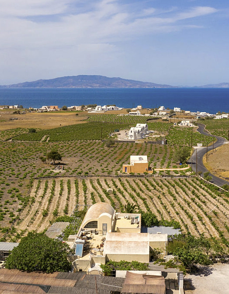 The Sigalas winery website speaks lovingly of Santorini: "There are no words to describe the magnificence of Santorini, whose wines are a delight to savour and, like the island's sunsets, draw applause and appreciation. Wine has always been part of life on Santorini that prides itself on having some of the oldest vineyards in the world."