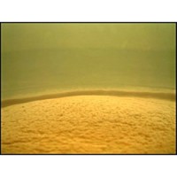 White wine resting on its yeast lees. Image from Ben Rotter's article, "Sur lie and bâtonnage."