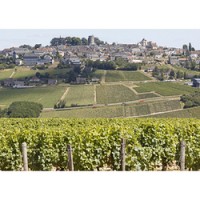 A vineyard and village scene in the Val de Loire. (Photo from VisitFrenchWine.com.)