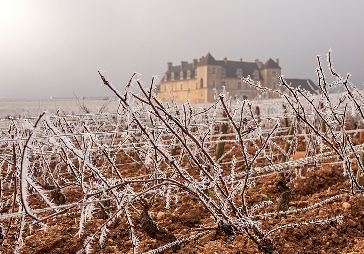 Here's a cooling image for a simmering summer day: Ice-covered vineyards surrounding the Clos de Vougeot Castle in Burgundy's Côte de Nuits, from <a href="https://www.burgundy-tourism.com/staying-in-burgundy/holidays-and-ideas-for-weekends/the-4-seasons-of-burgundy/6-reasons-to-come-to-burgundy-in-winter/" target="_new">6 reasons to come to Burgundy in winter</a> on the La Bourgogne</a> Burgundy tourism website.
