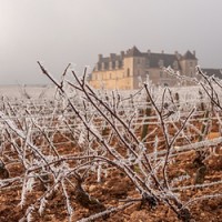 Here's a cooling image for a simmering summer day: Ice-covered vineyards surrounding the Clos de Vougeot Castle in Burgundy's Côte de Nuits, from 6 reasons to come to Burgundy in winter on the La Bourgogne Burgundy tourism website.